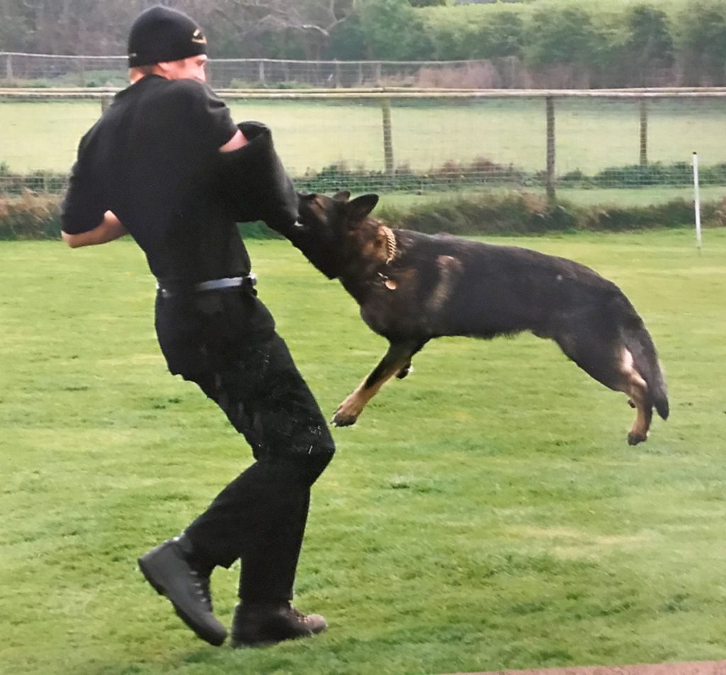 Dog Expert Witness and Dog Behaviour Assessments